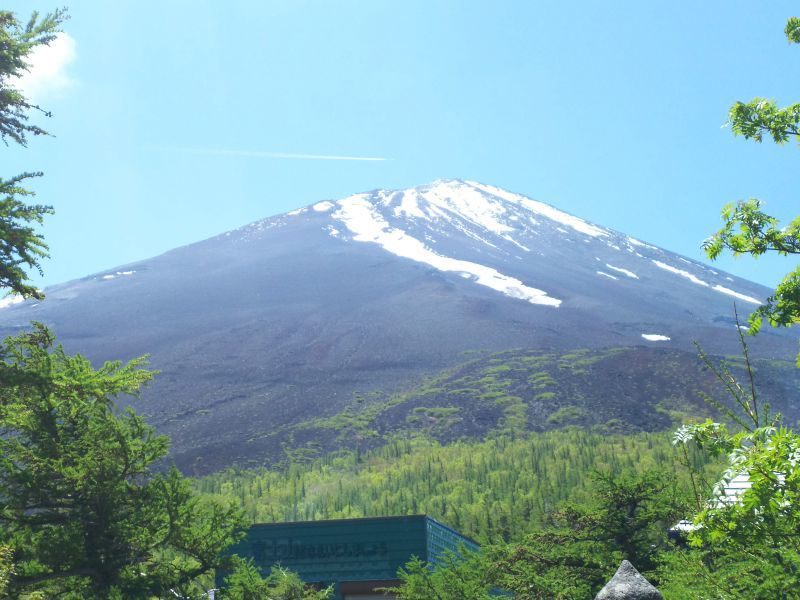 明日は臨時休業です